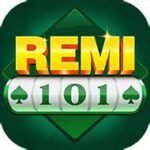 remi-101